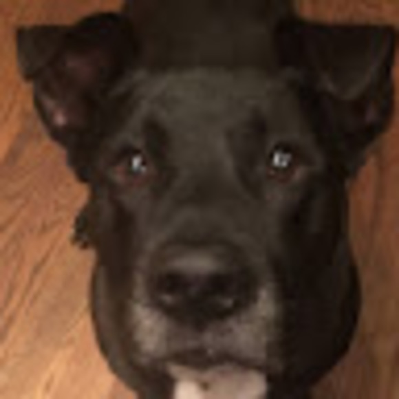 Meet your Posher, Alyssa - Picture 1 of 1